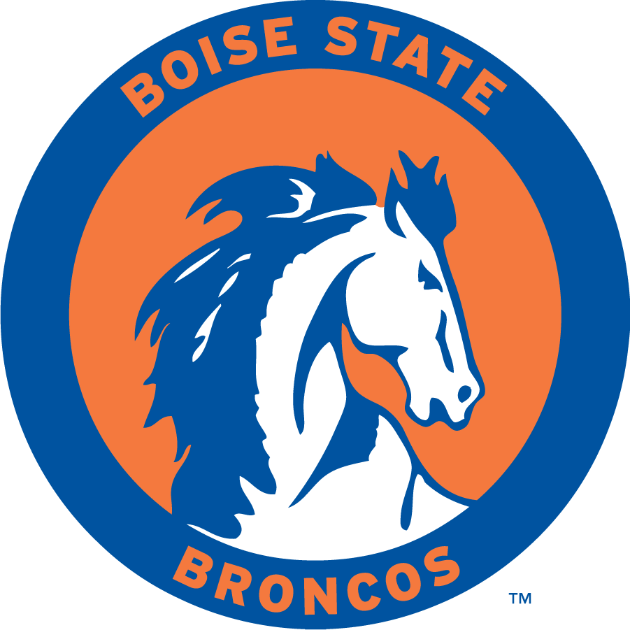 Boise State Broncos 1969-1974 Primary Logo iron on transfers for T-shirts